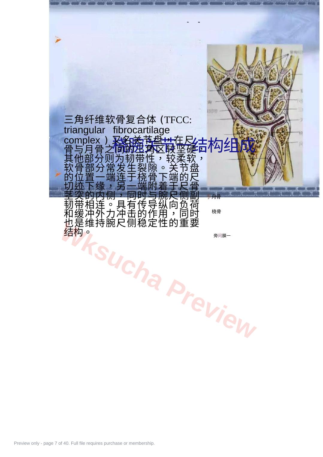 预览第 7 页