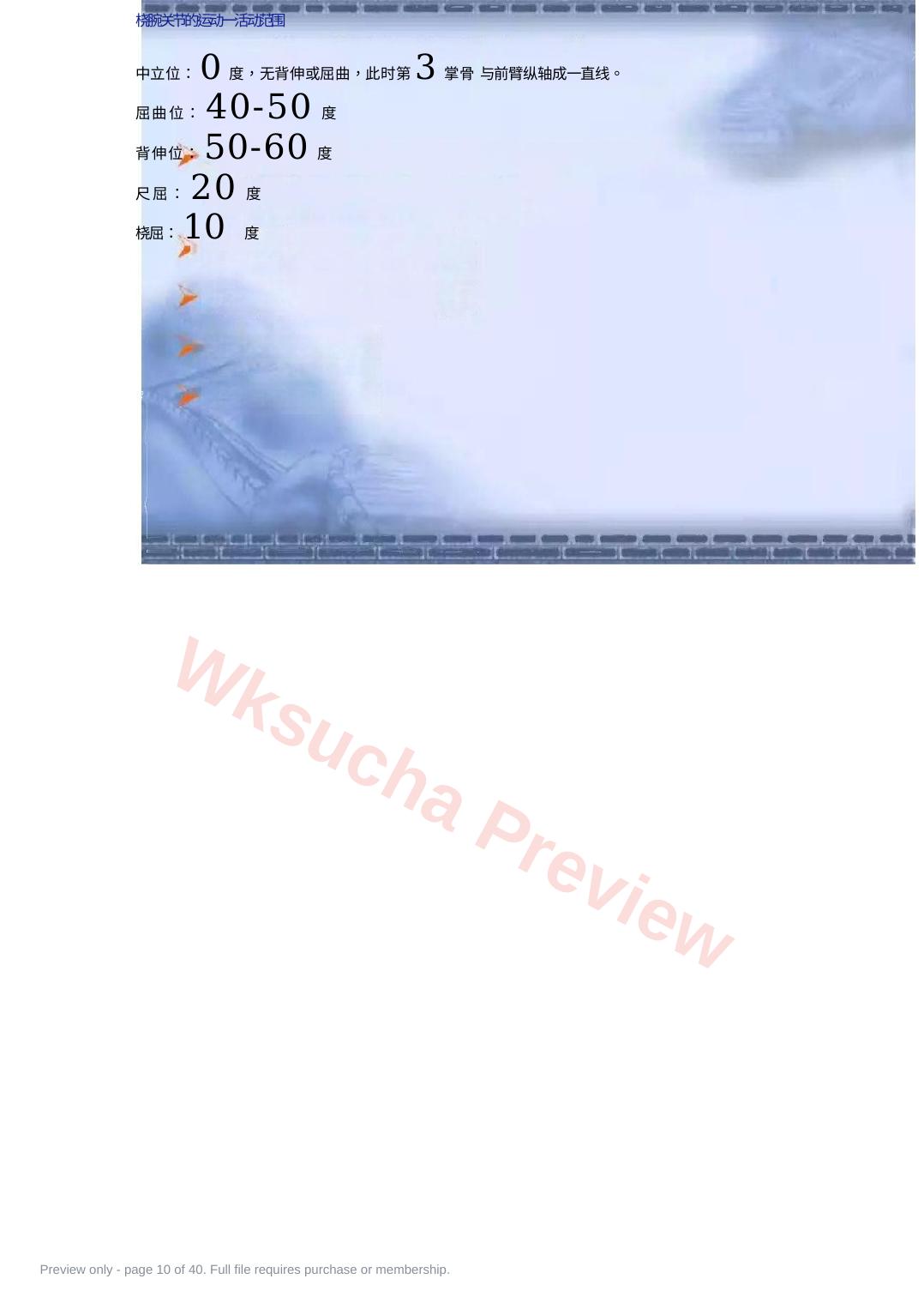 预览第 10 页