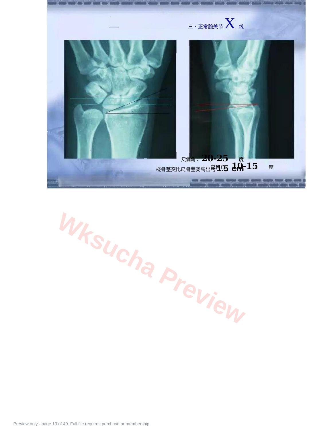 预览第 13 页