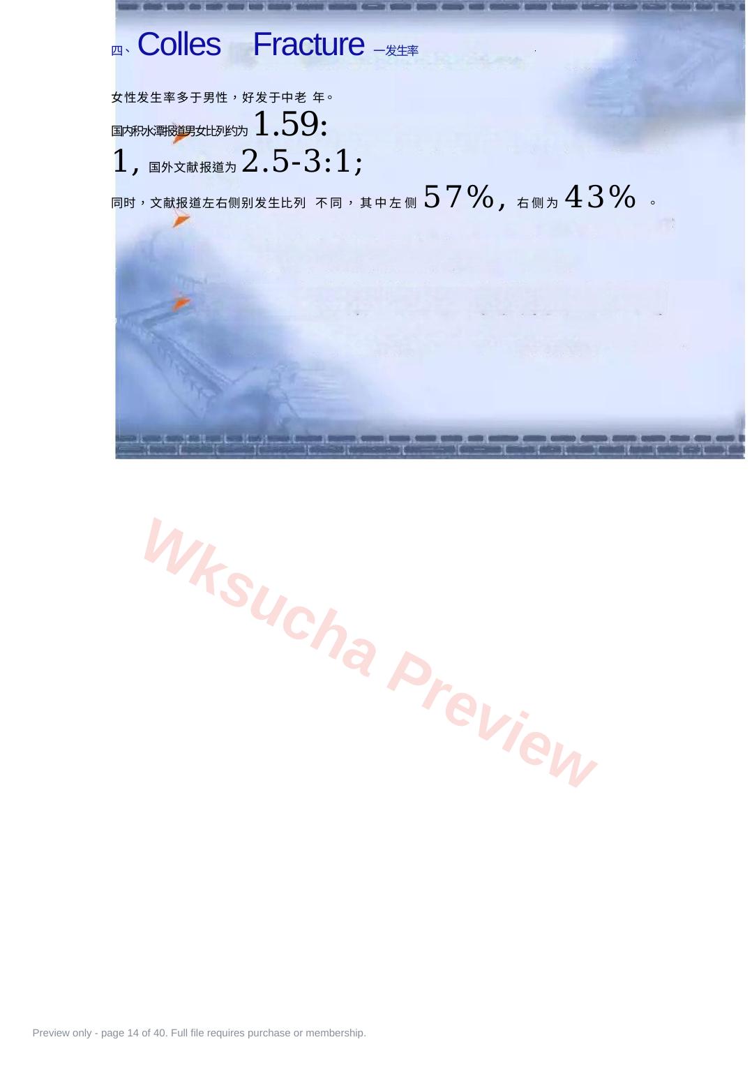 预览第 14 页