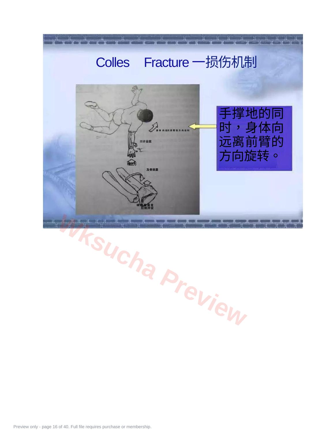 预览第 16 页