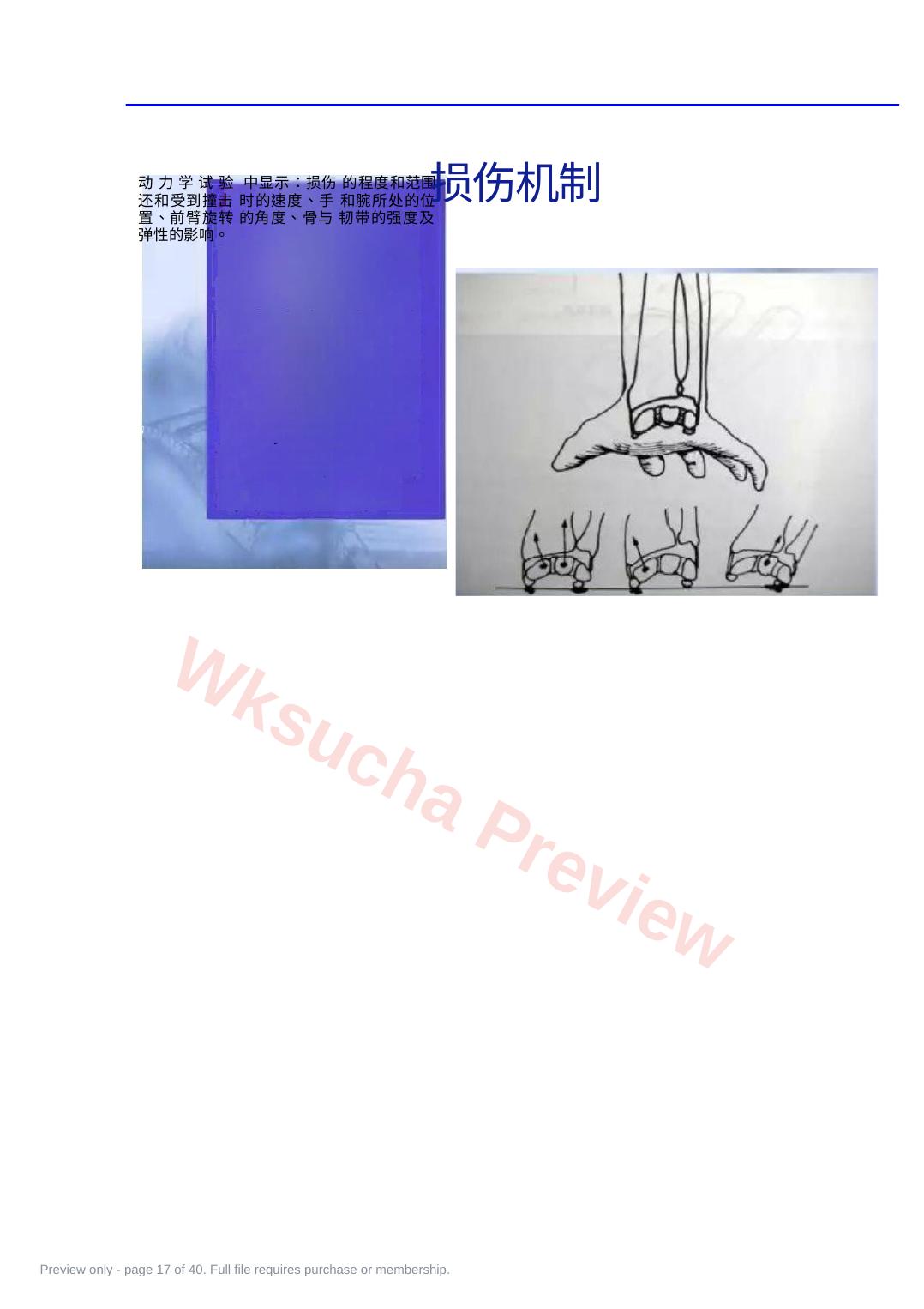 预览第 17 页