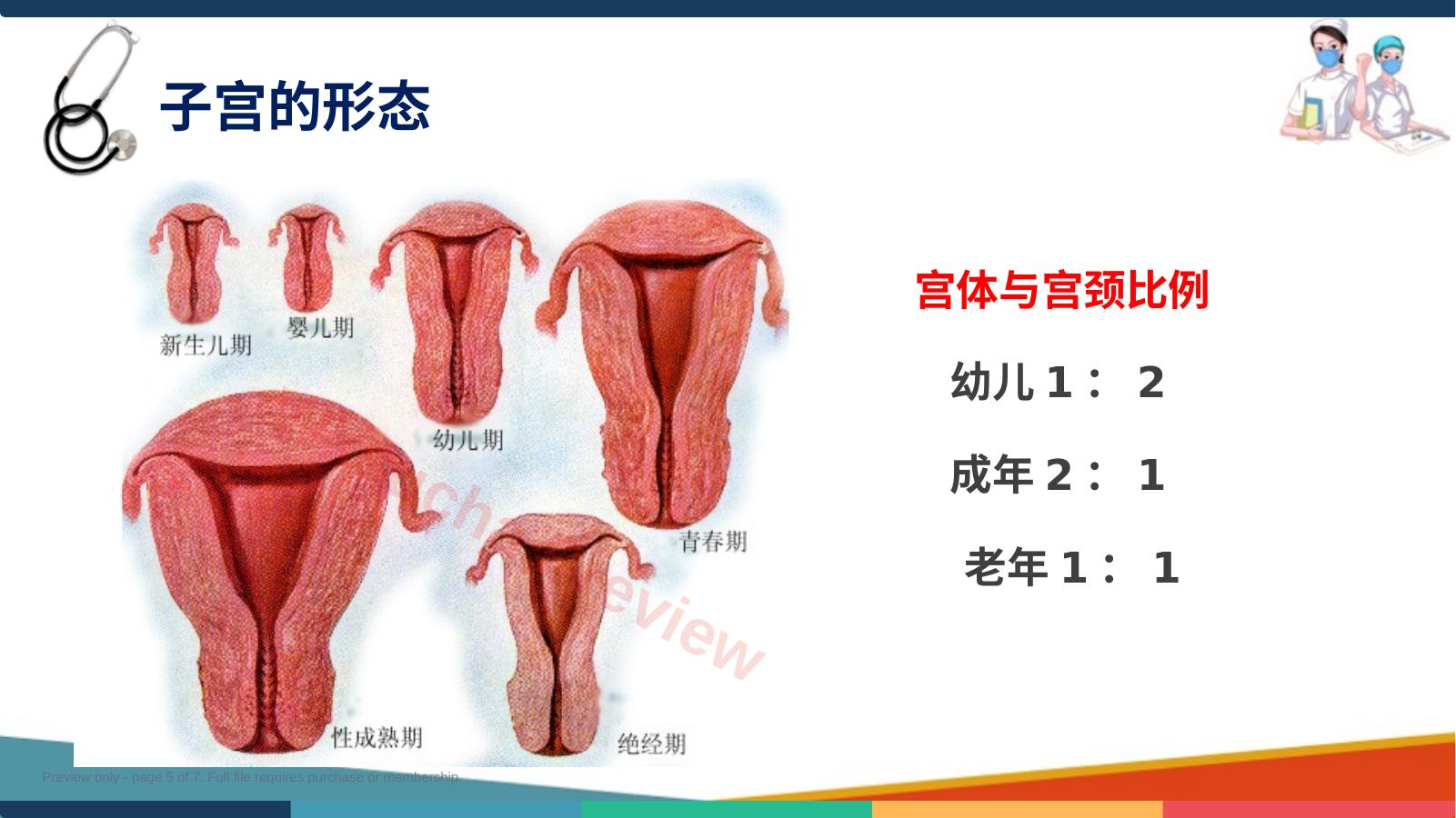 预览第 5 页