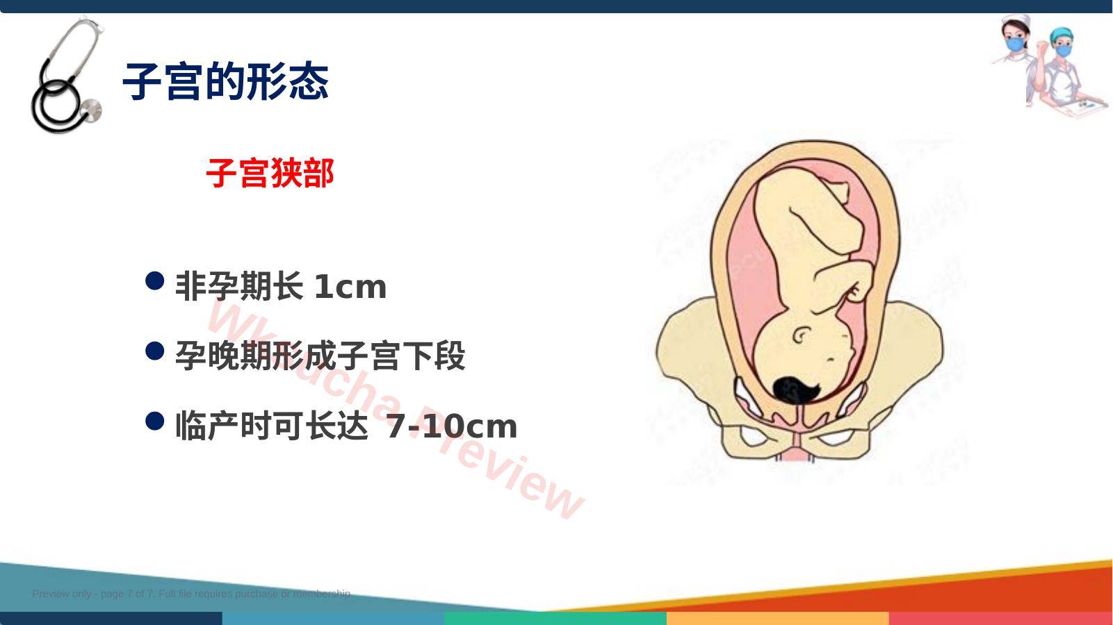 预览第 7 页