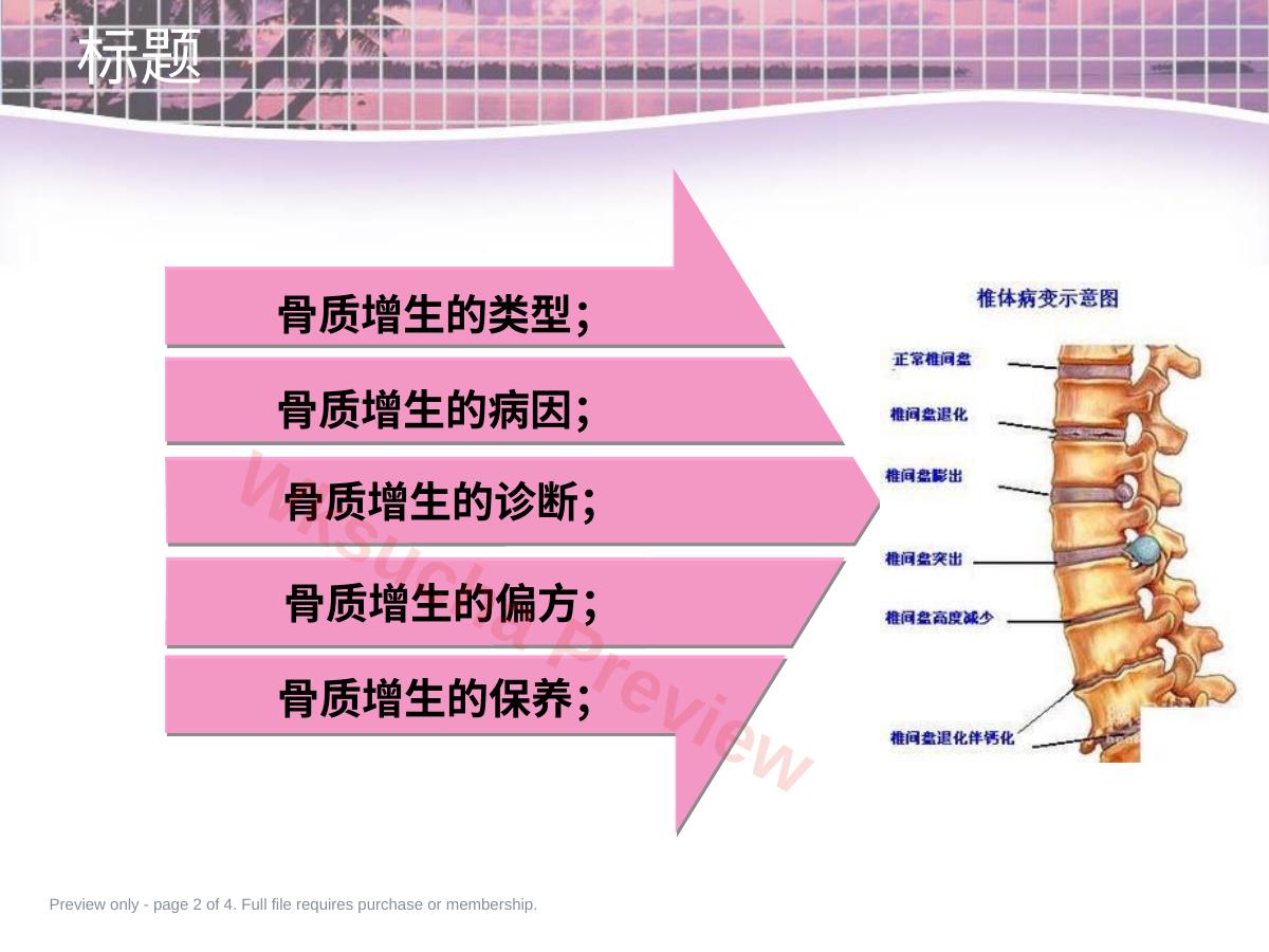 预览第 2 页