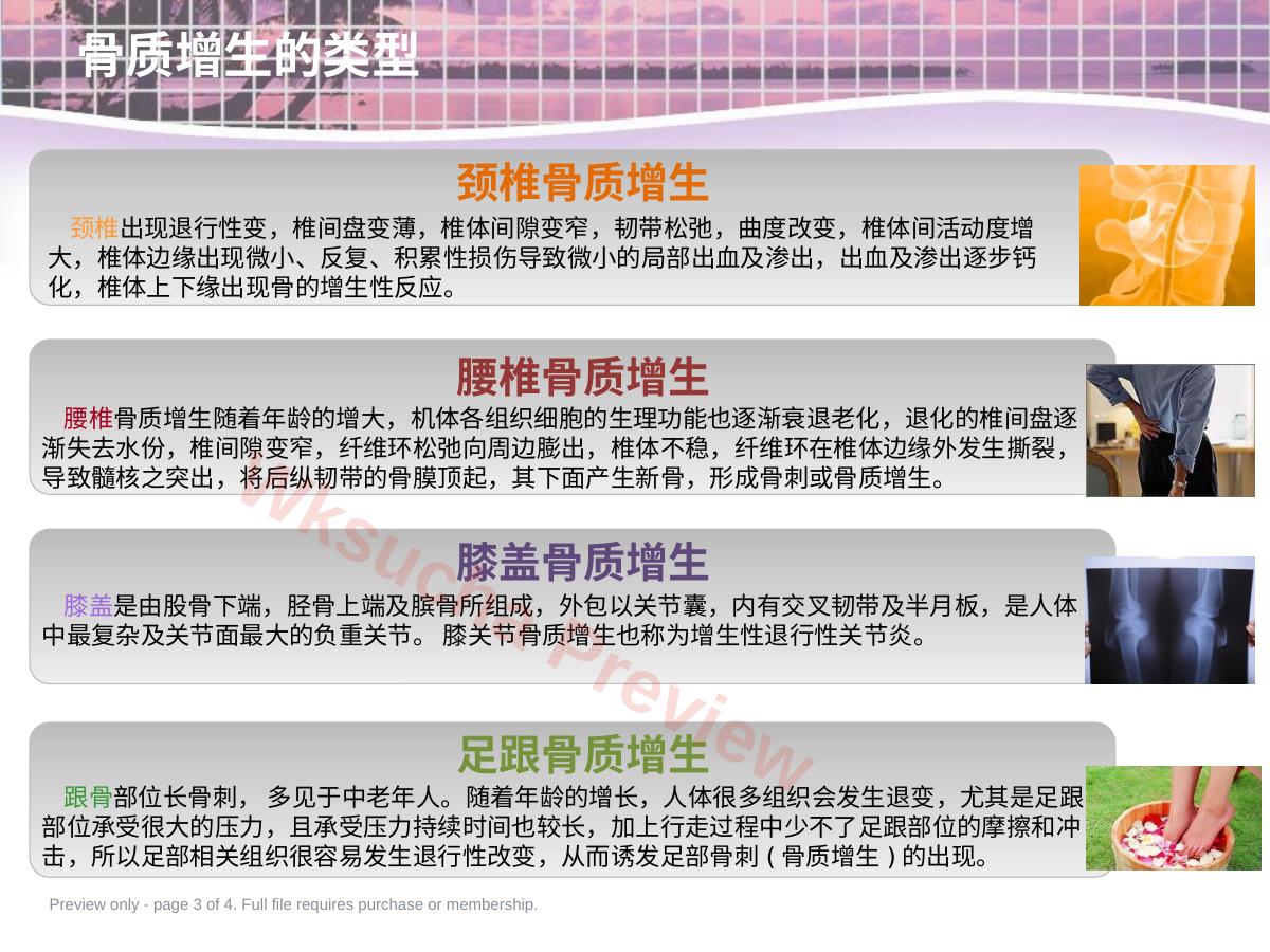 预览第 3 页