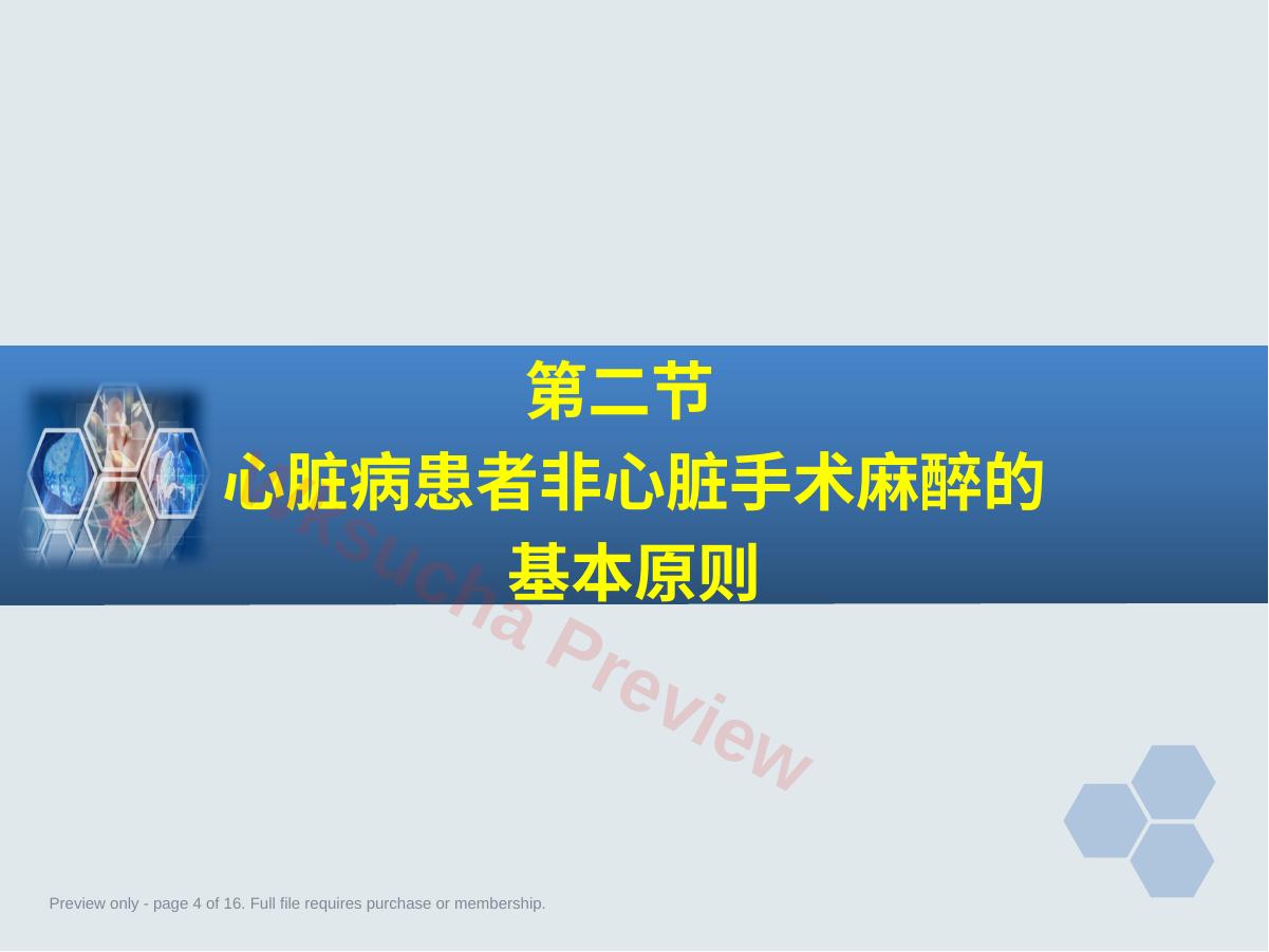 预览第 4 页