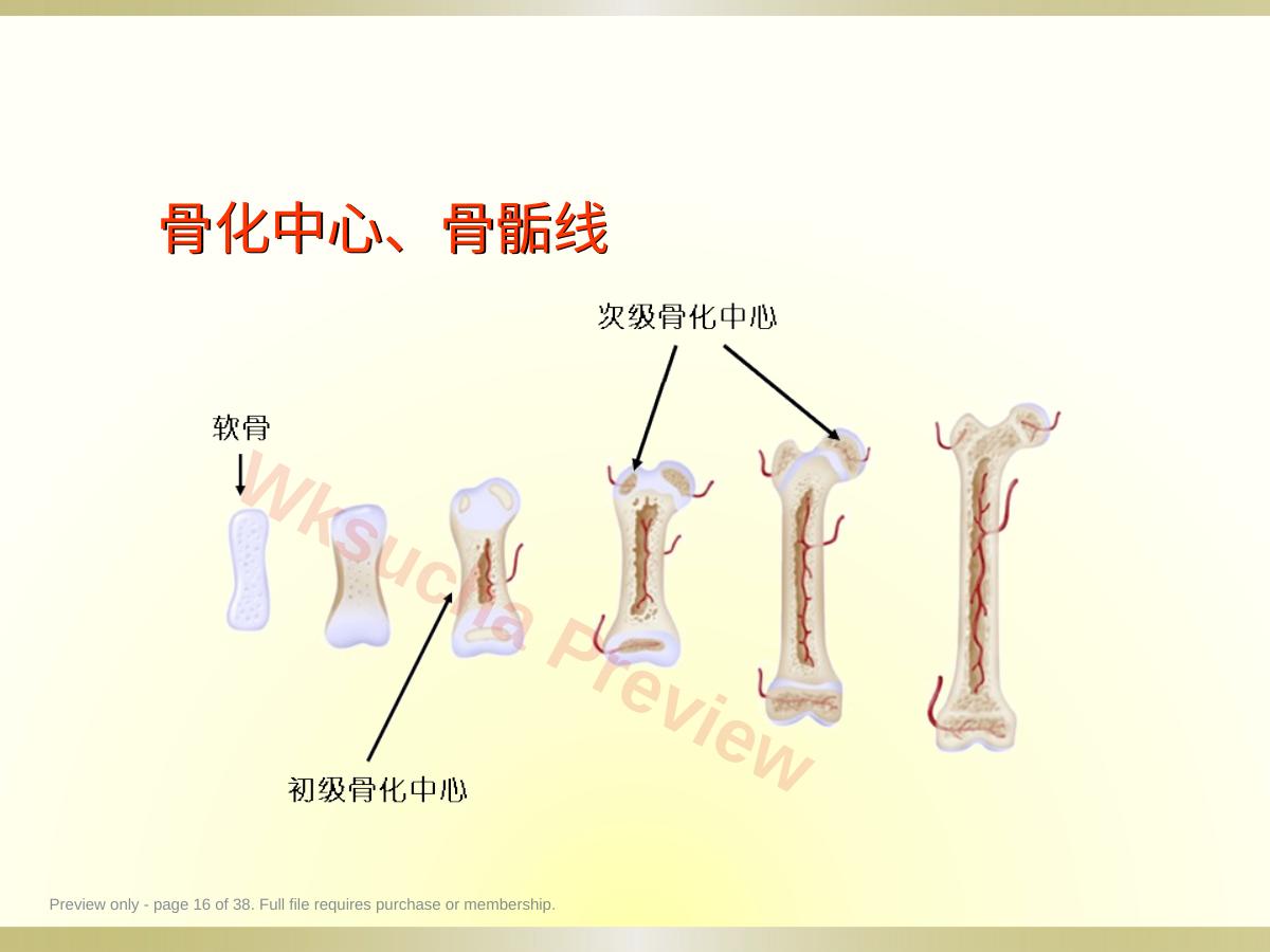 预览第 16 页