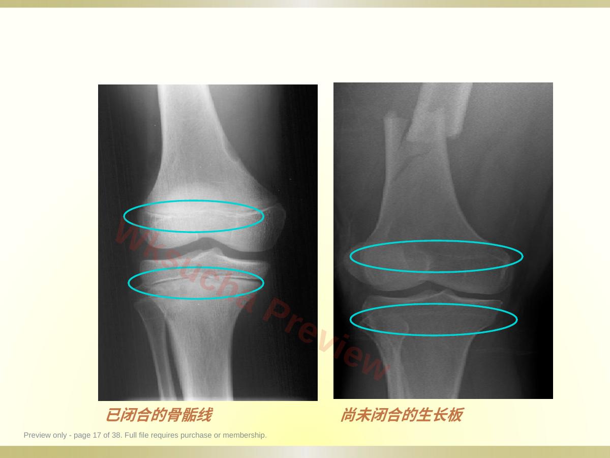 预览第 17 页