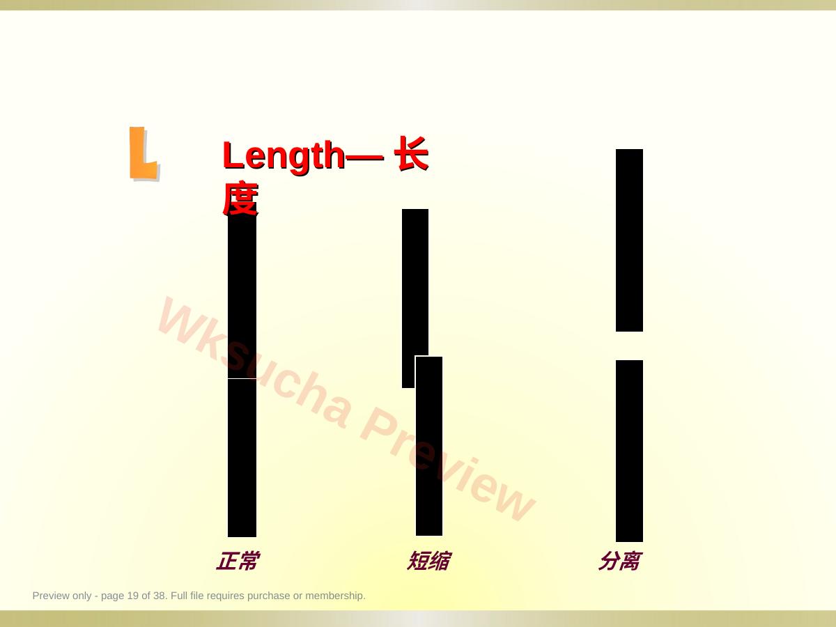 预览第 19 页