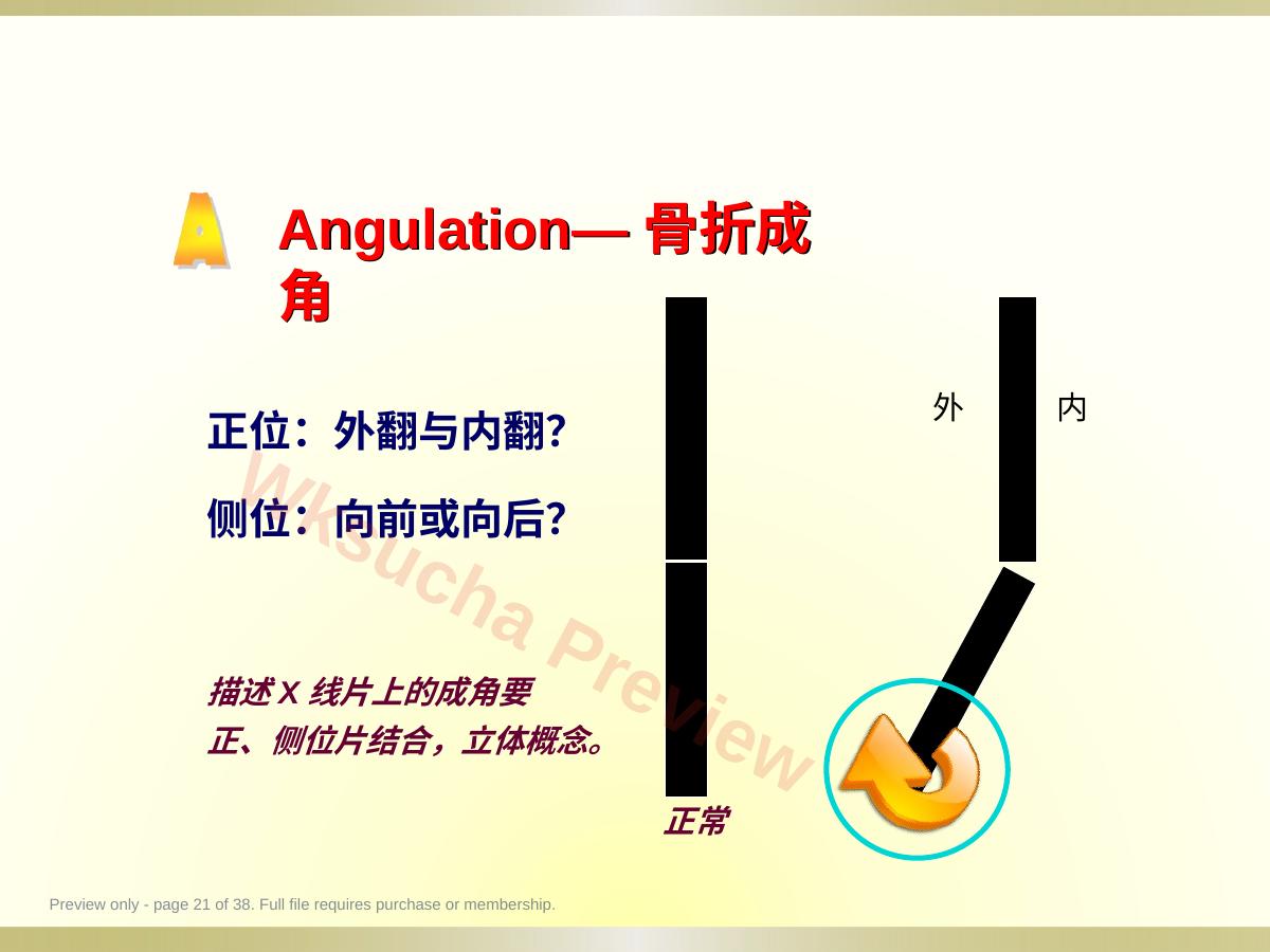 预览第 21 页