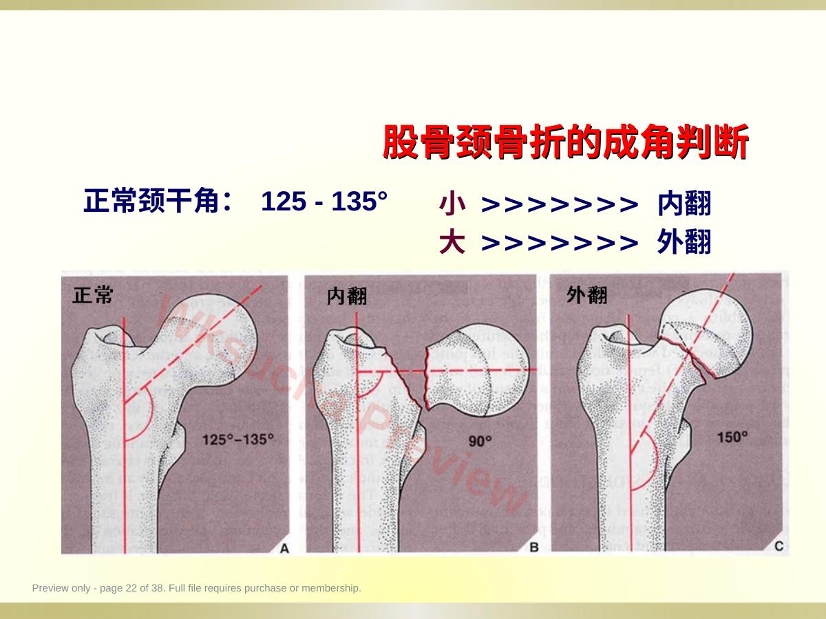 预览第 22 页