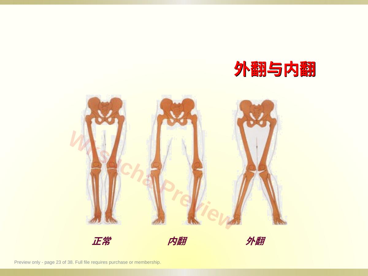 预览第 23 页