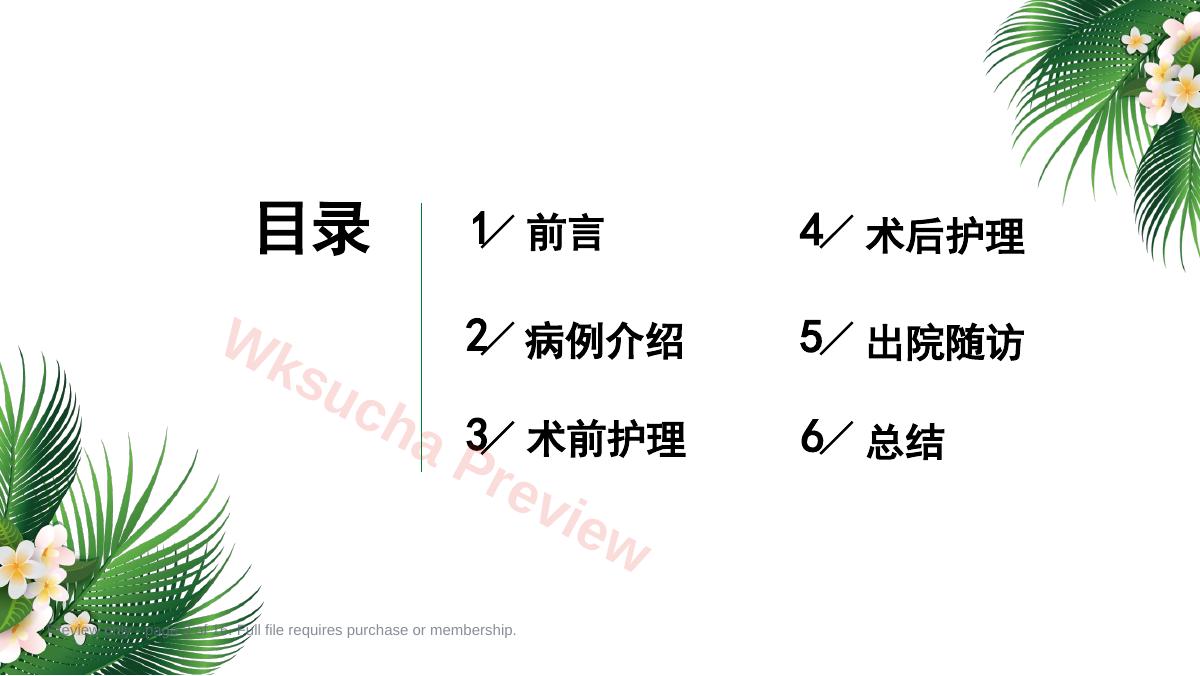 预览第 2 页