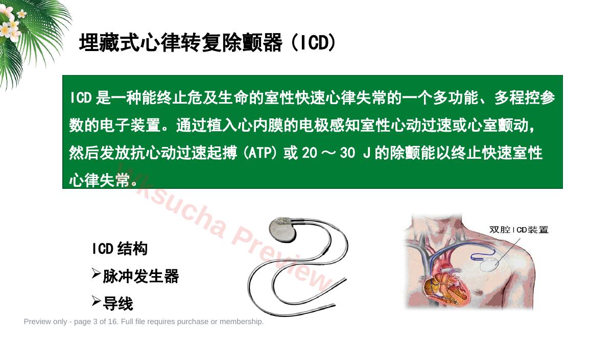 预览第 3 页
