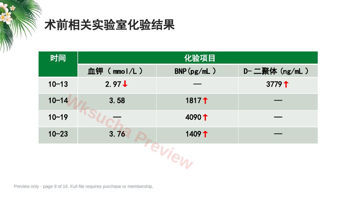 预览第 9 页