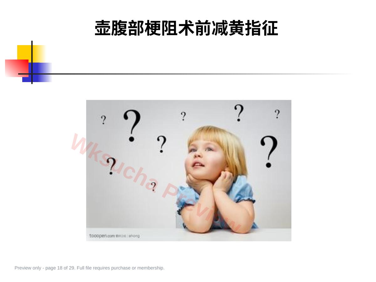 预览第 18 页