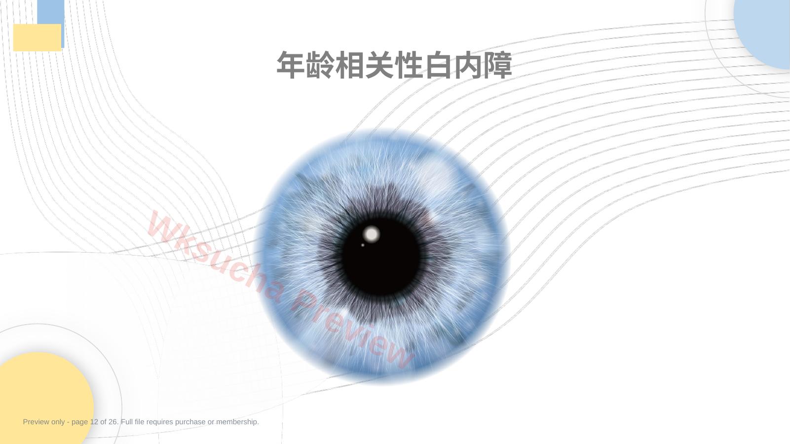 预览第 12 页