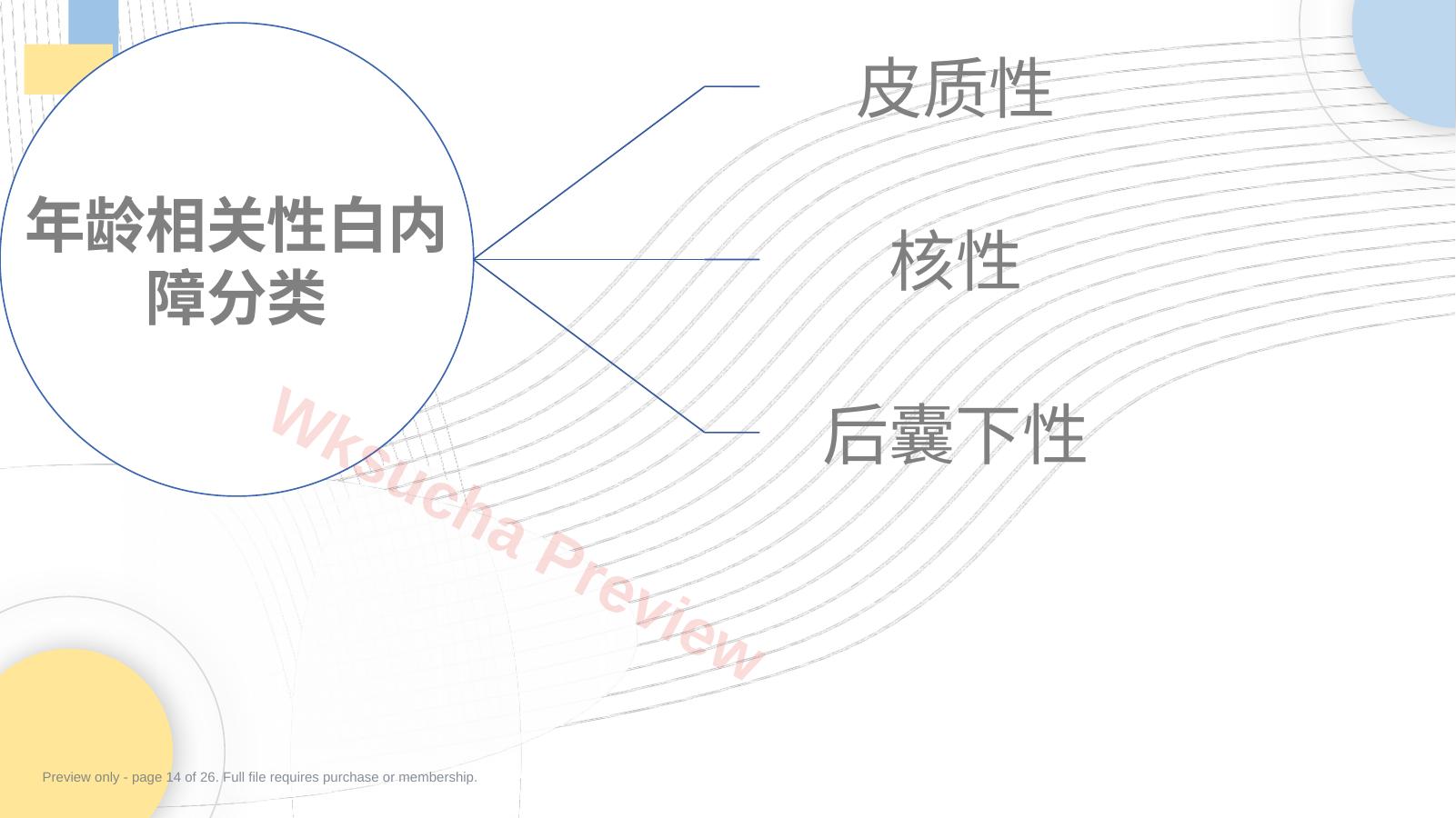 预览第 14 页