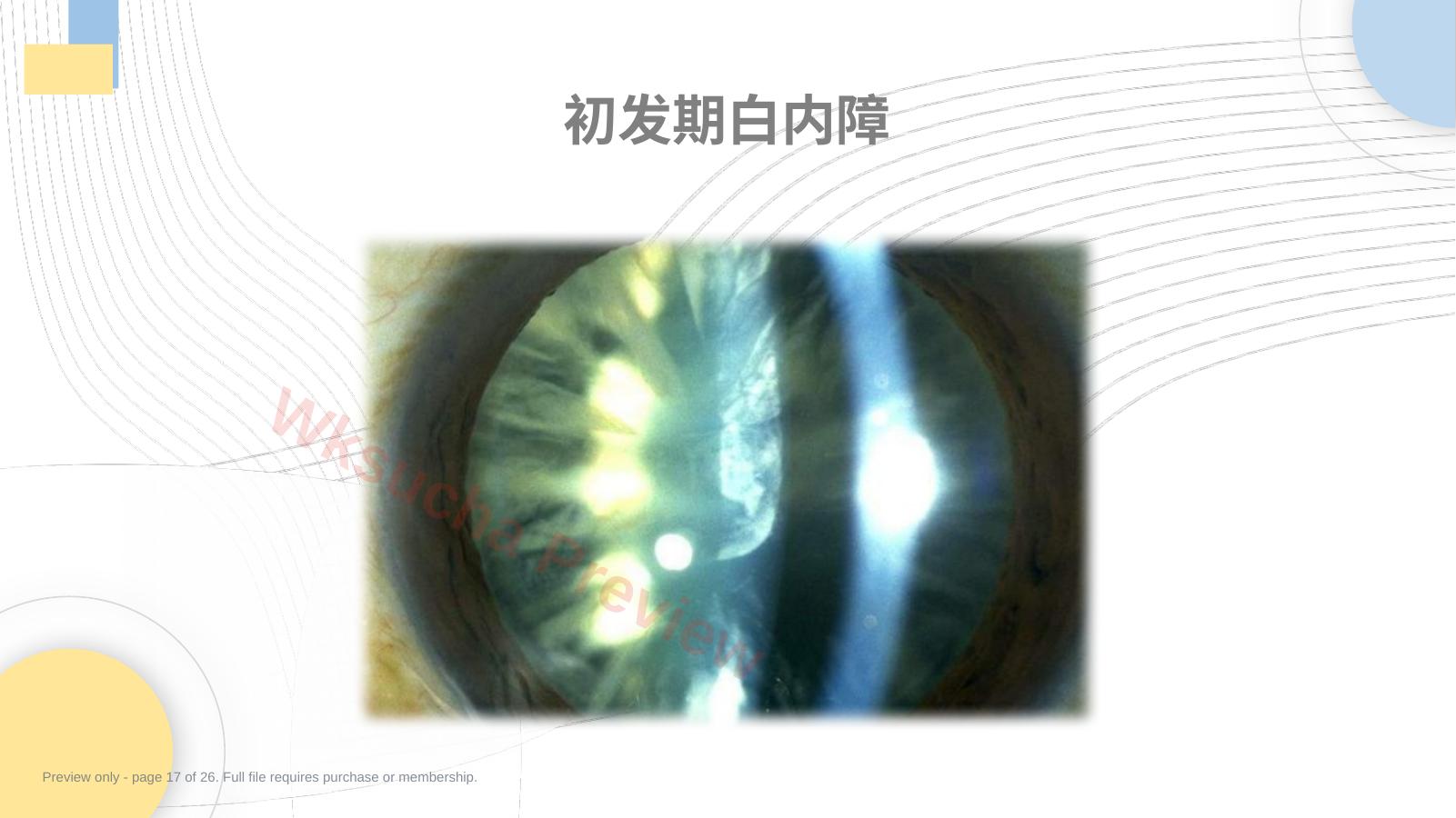 预览第 17 页