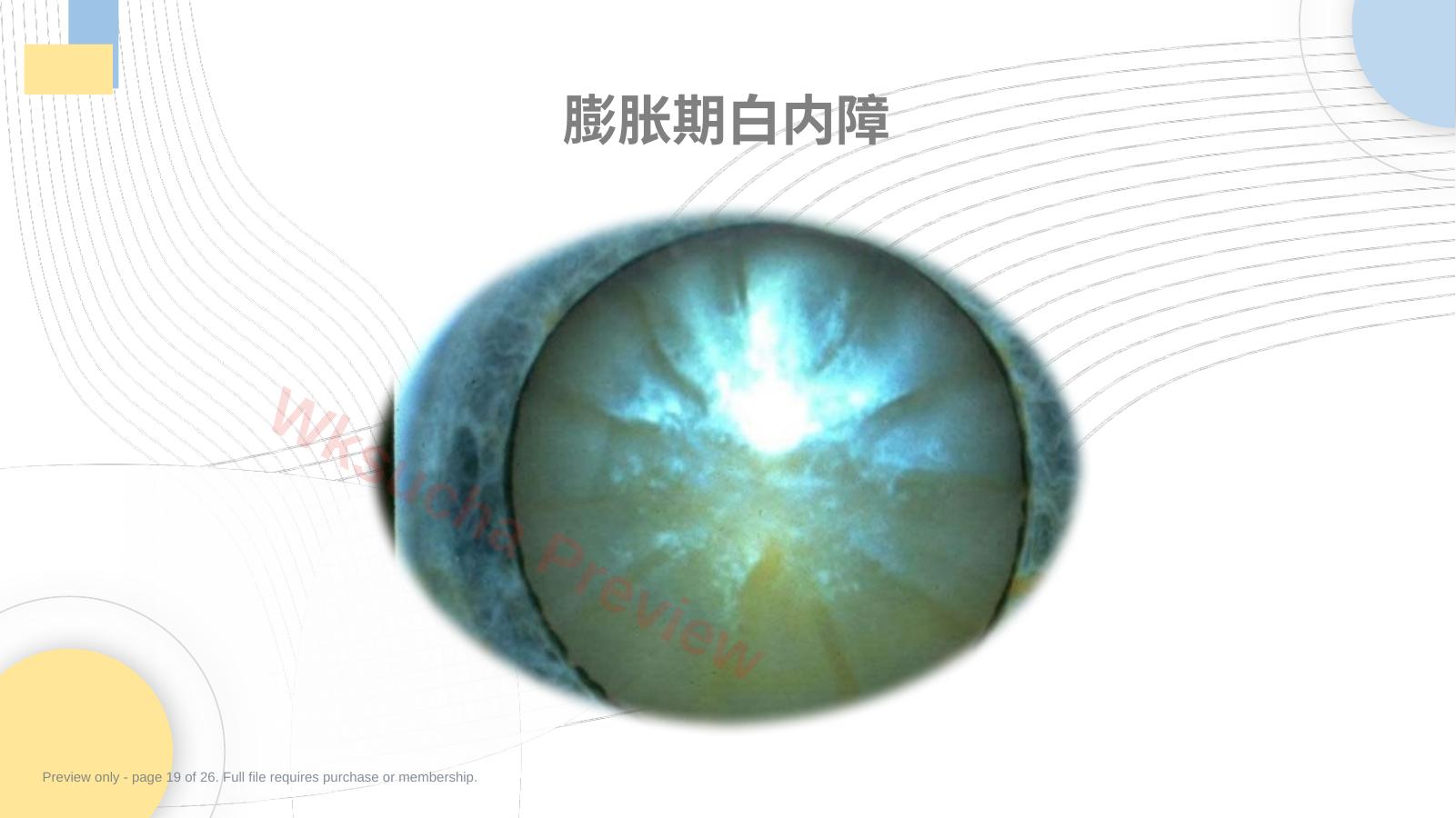 预览第 19 页