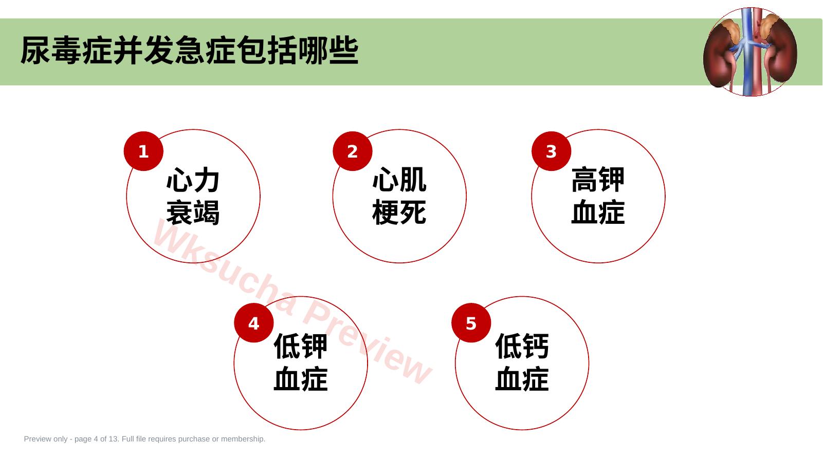 预览第 4 页