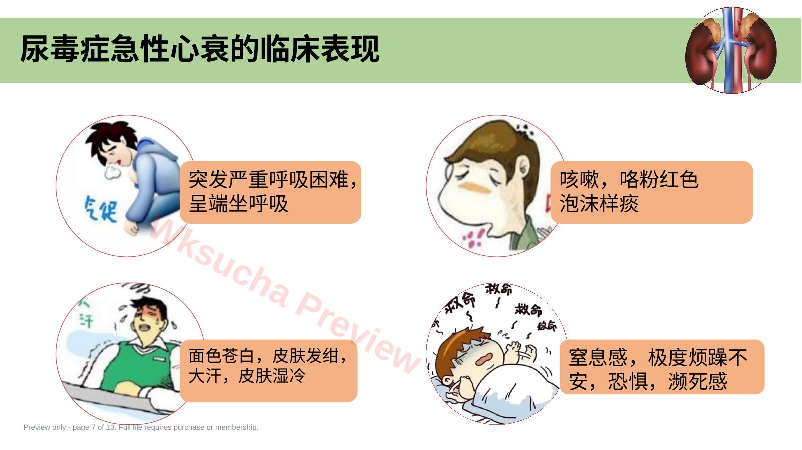 预览第 7 页