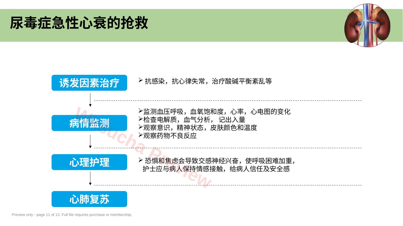 预览第 11 页
