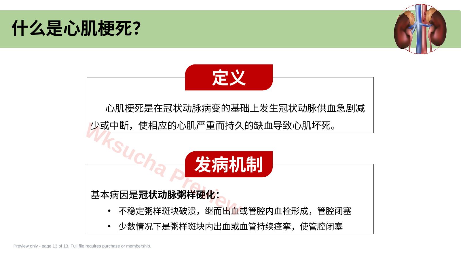 预览第 13 页