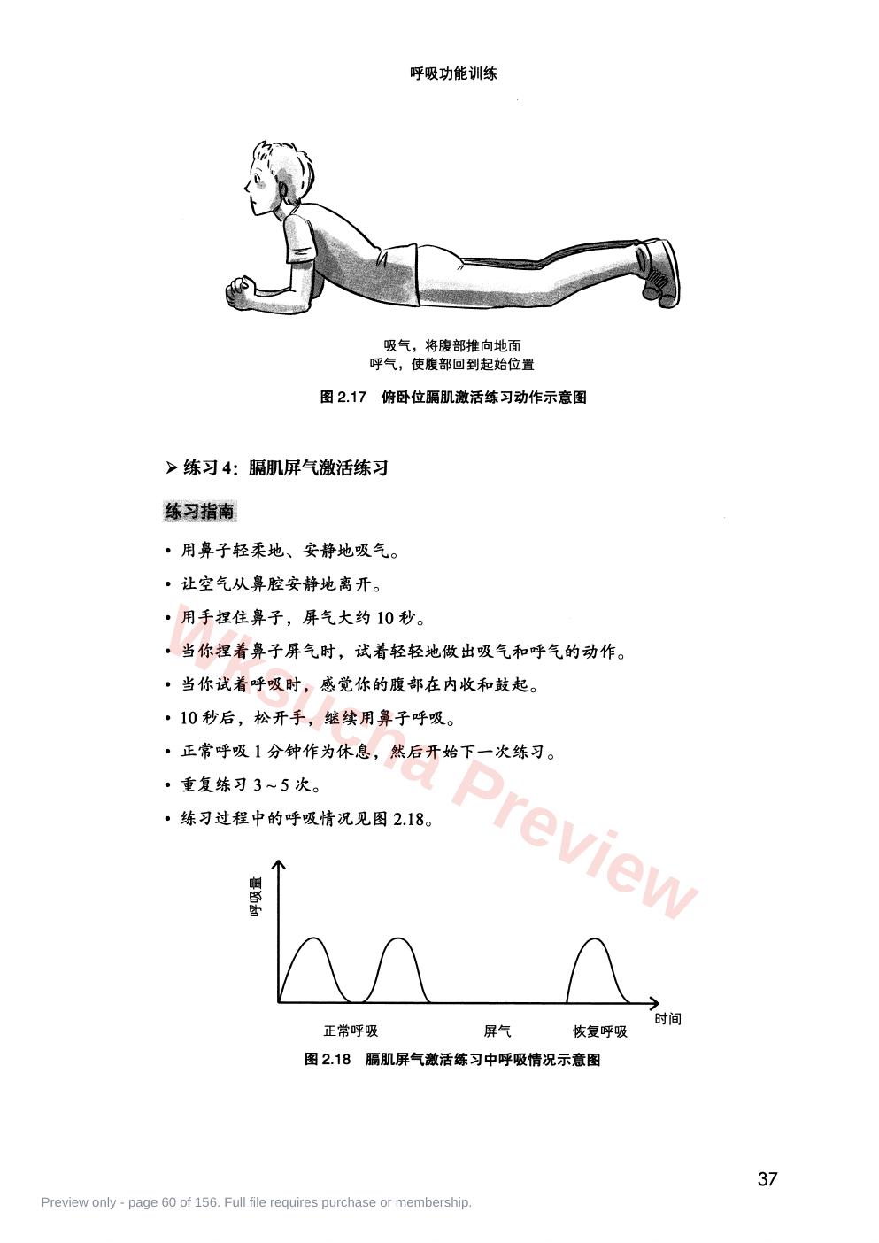 预览第 60 页