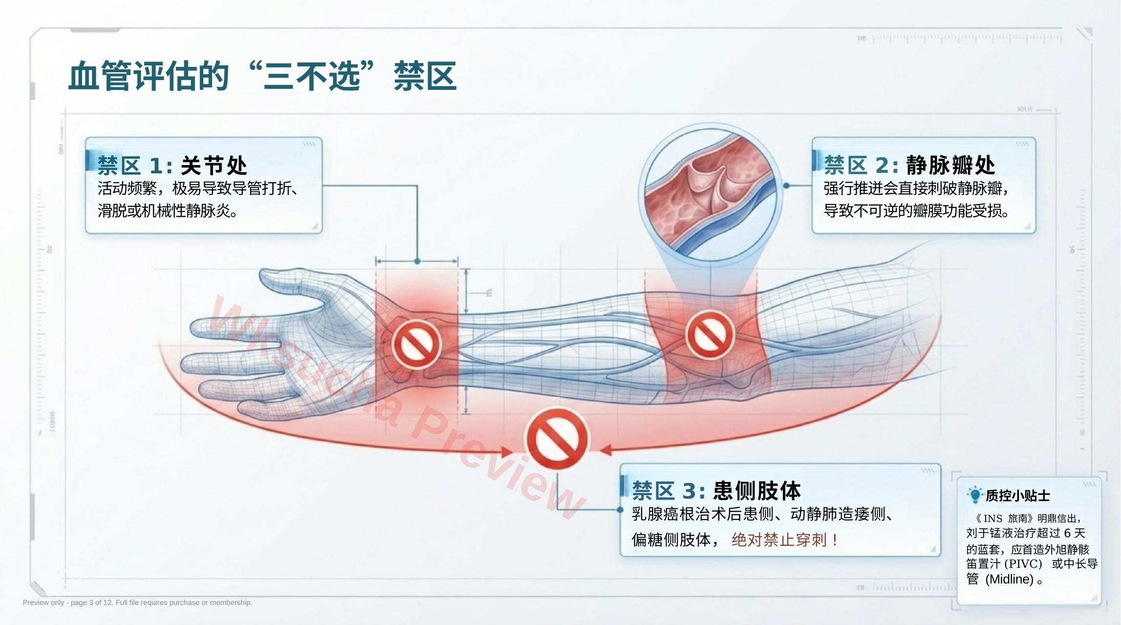 预览第 3 页