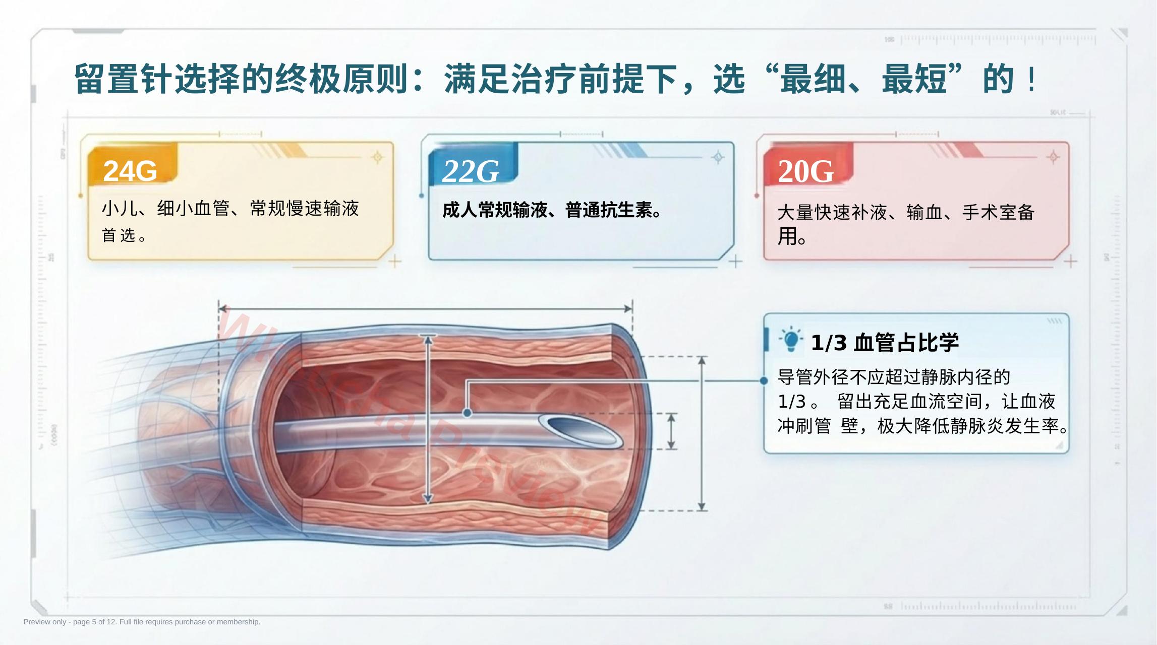 预览第 5 页