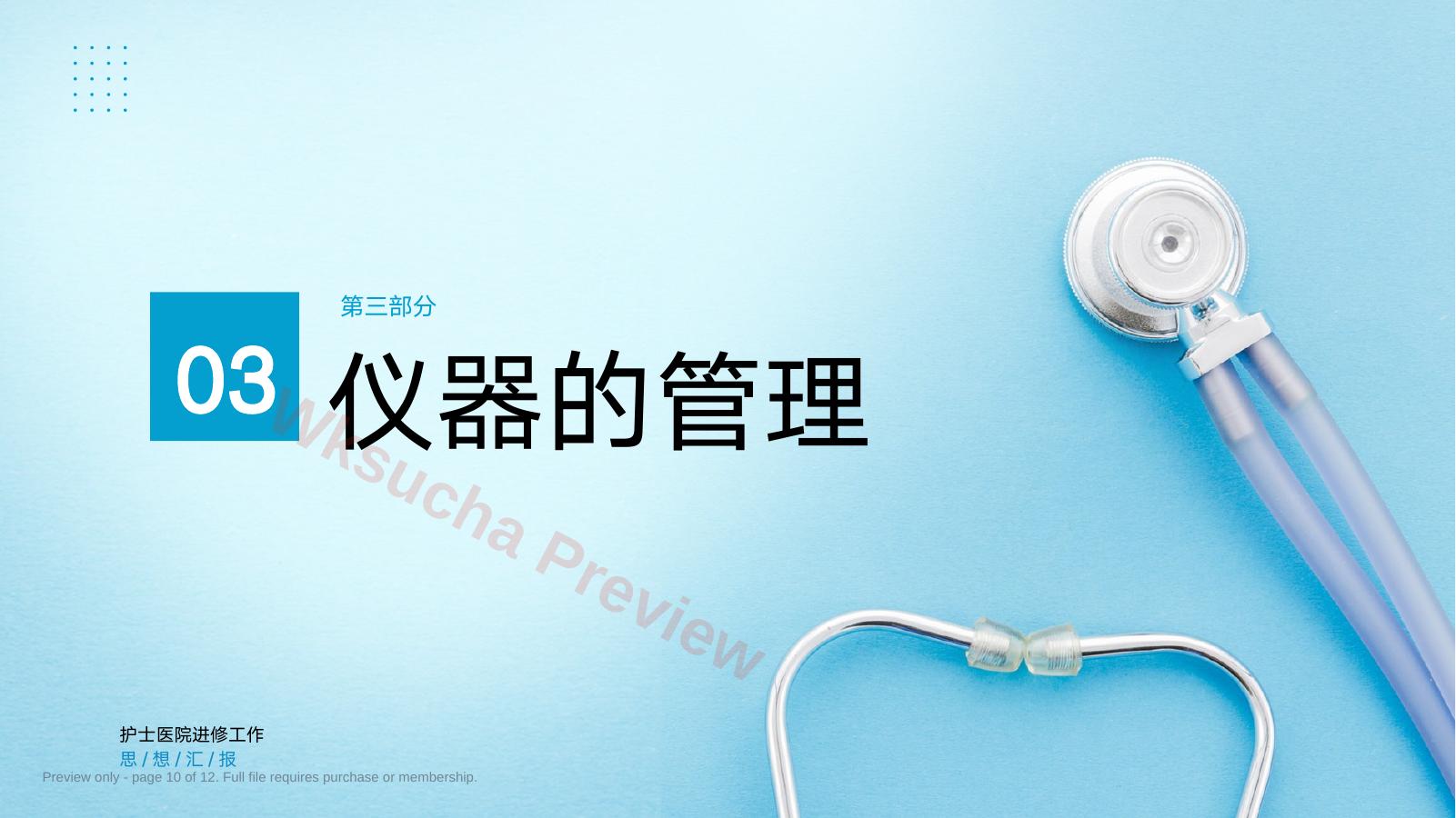 预览第 10 页