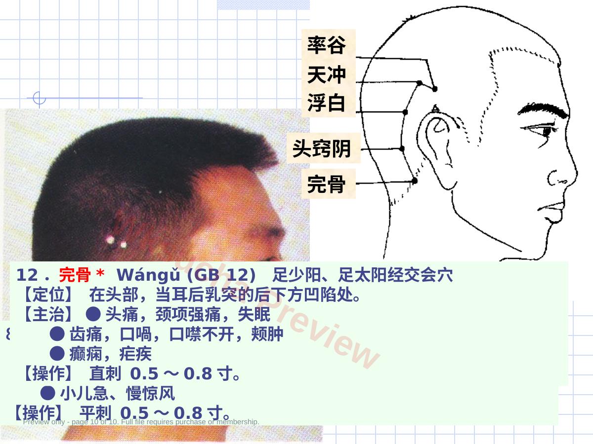 预览第 10 页