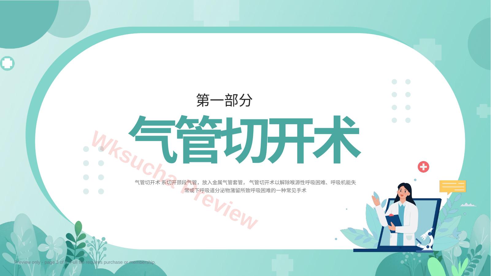预览第 3 页