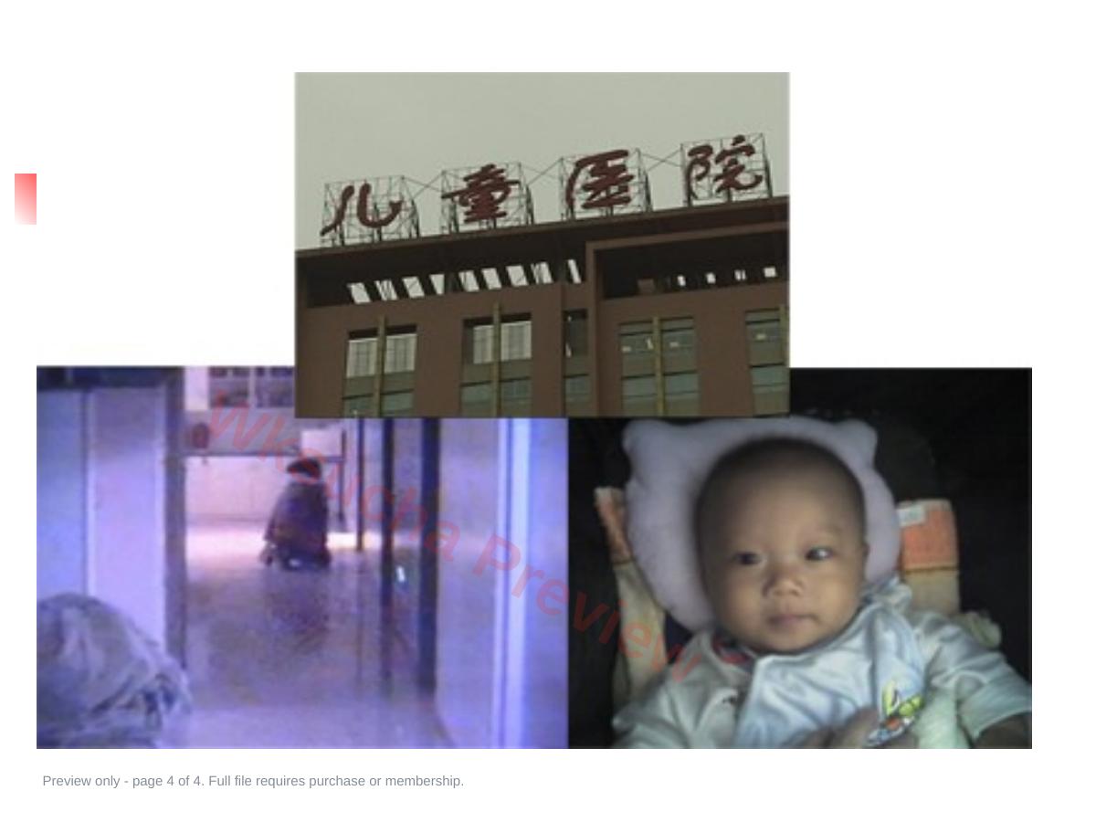 预览第 4 页