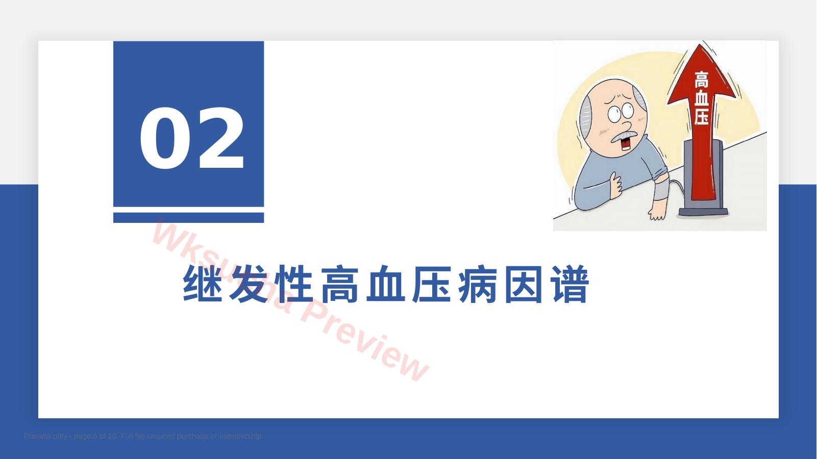 预览第 5 页