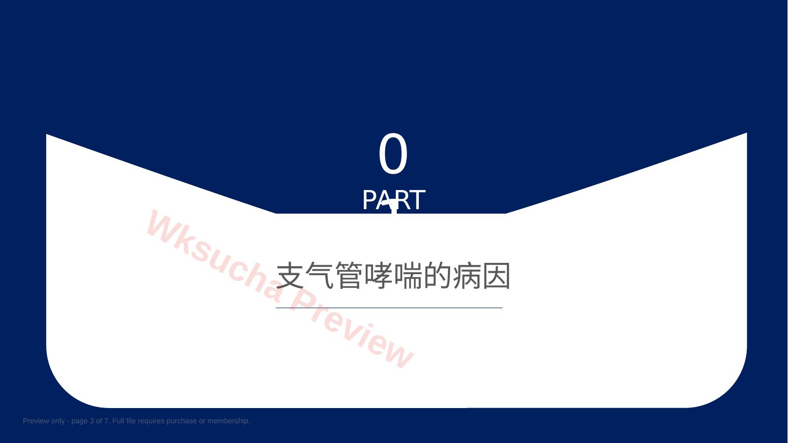 预览第 3 页