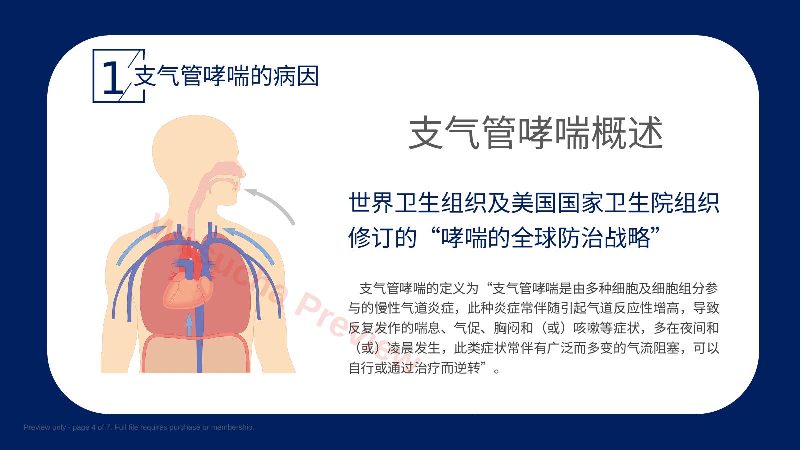 预览第 4 页