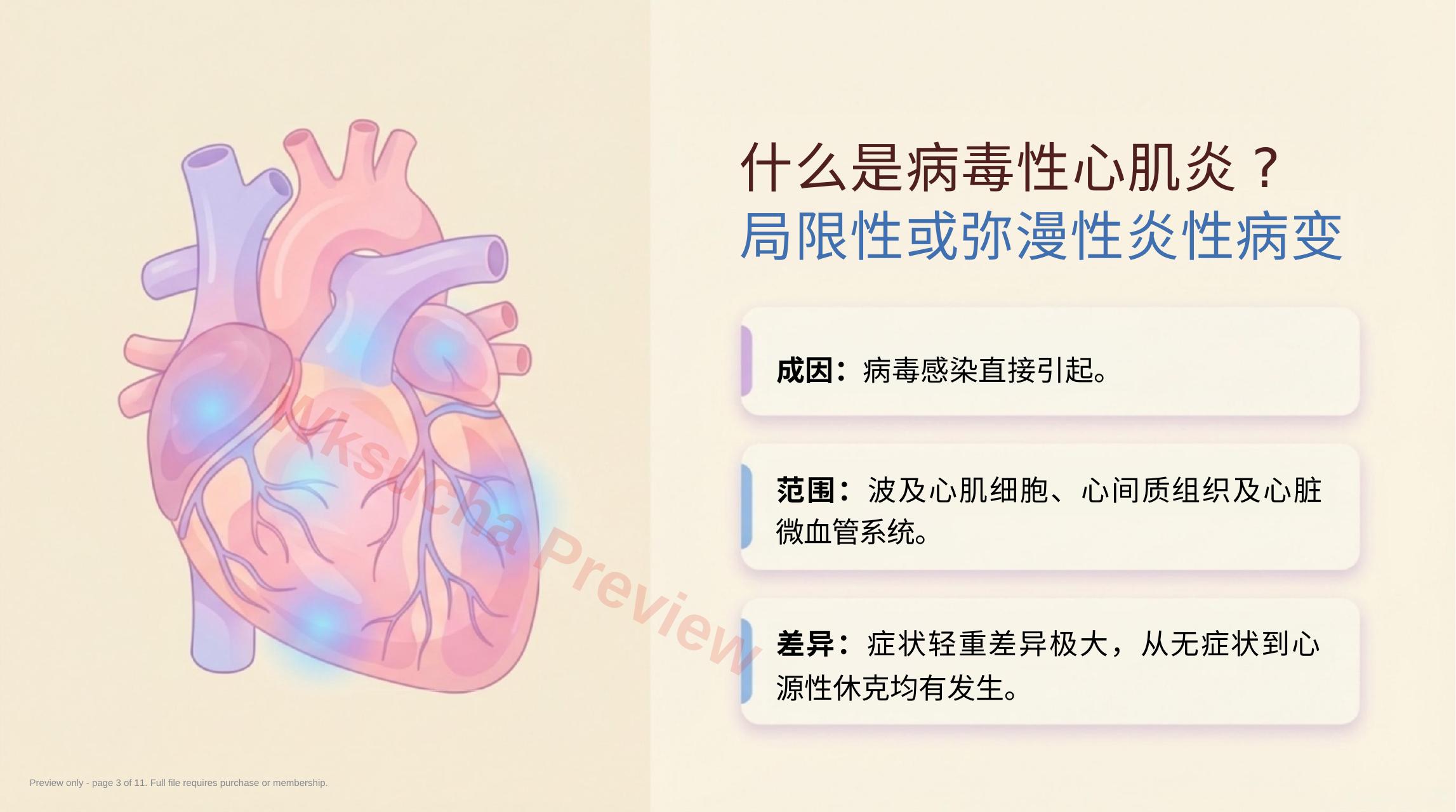 预览第 3 页