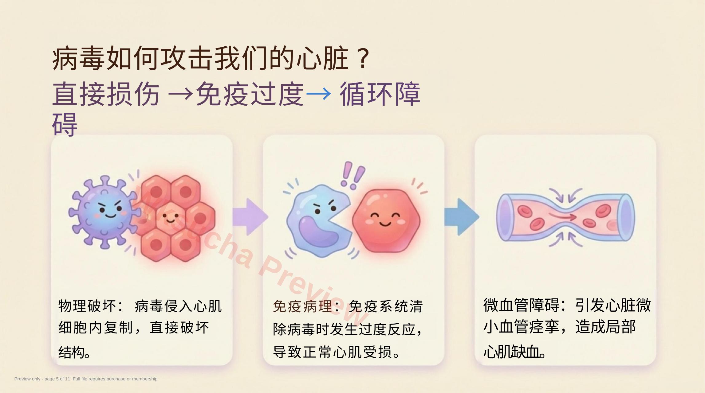 预览第 5 页