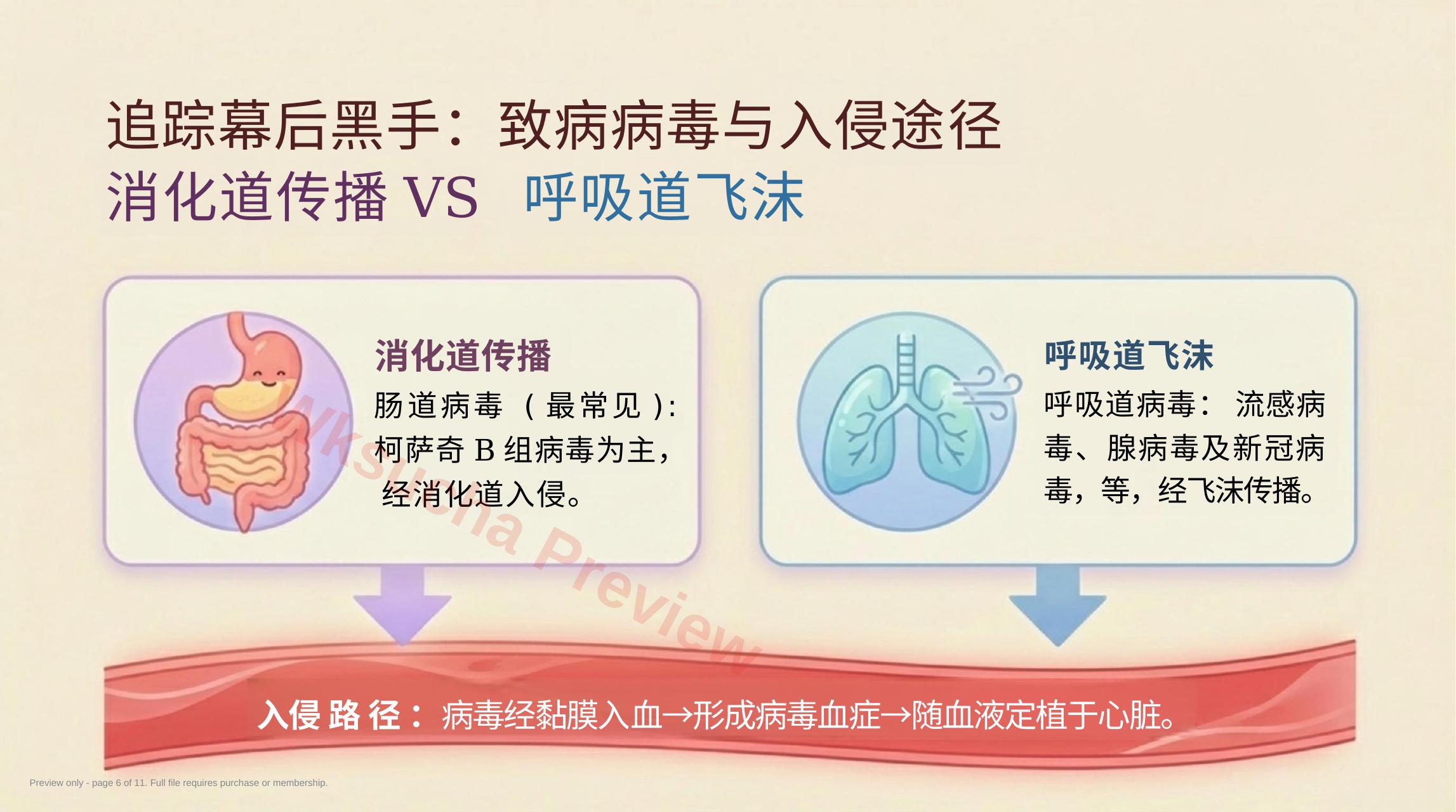 预览第 6 页
