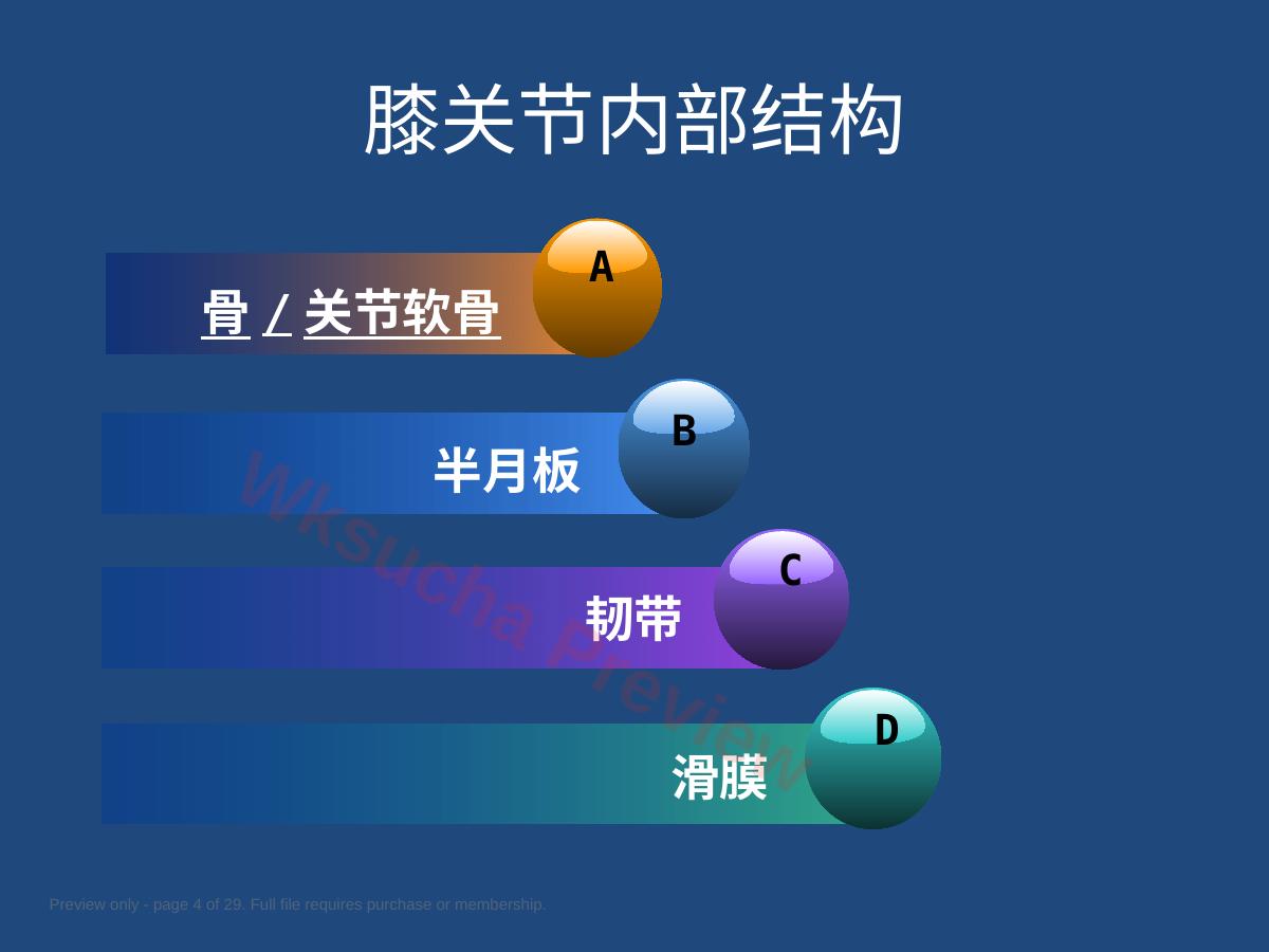 预览第 4 页