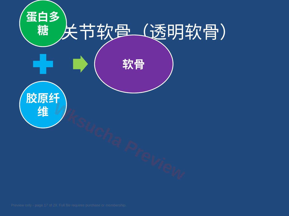 预览第 17 页
