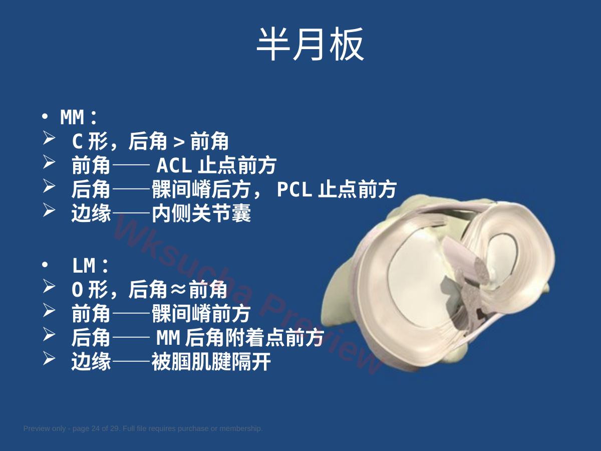 预览第 24 页
