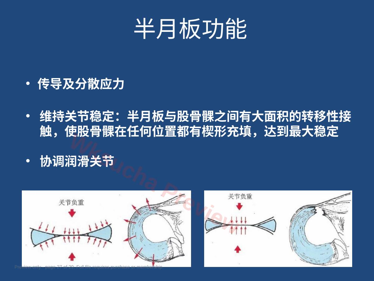 预览第 27 页