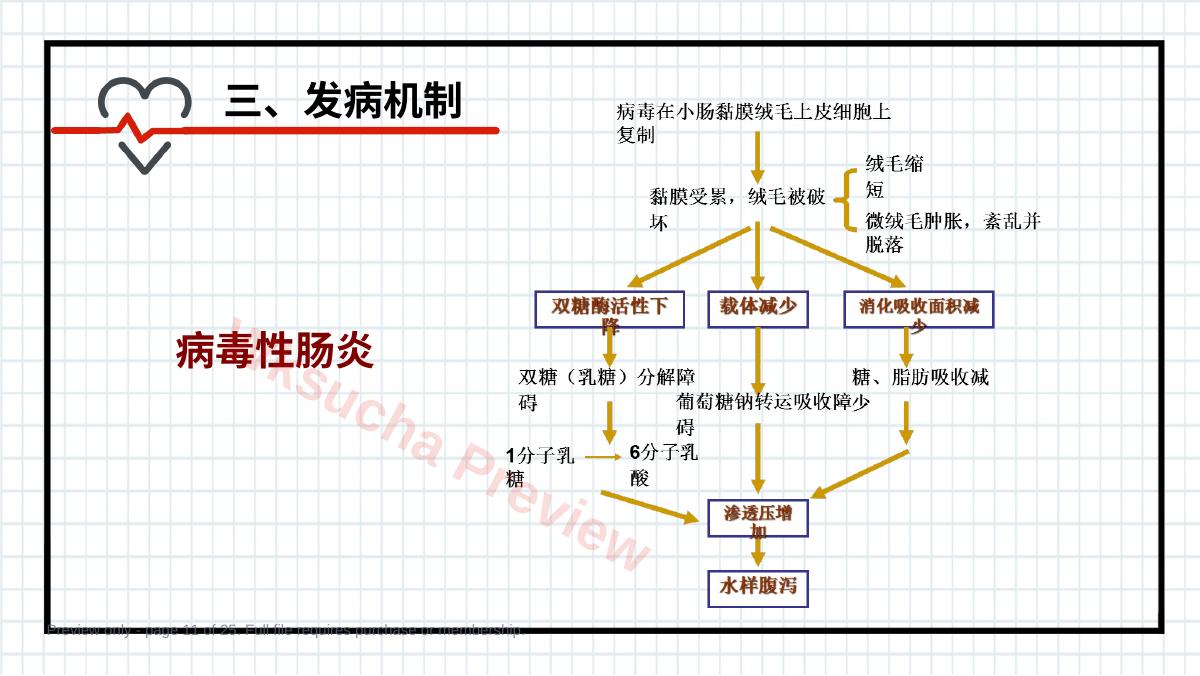 预览第 11 页