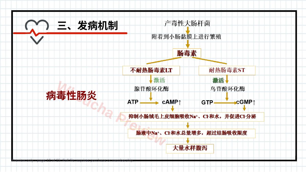 预览第 12 页
