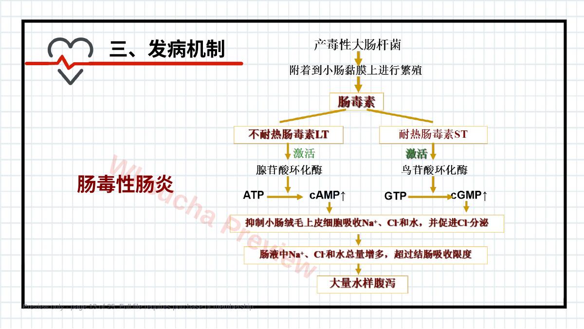 预览第 13 页