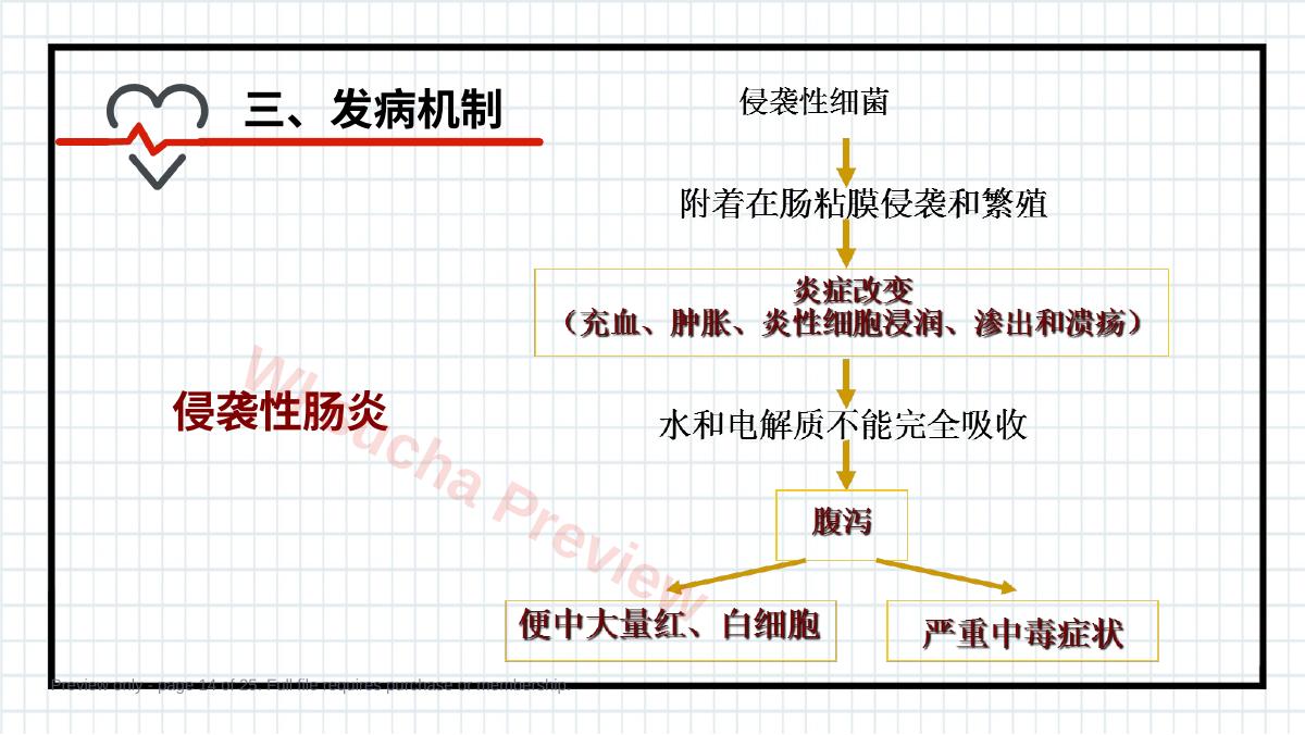 预览第 14 页
